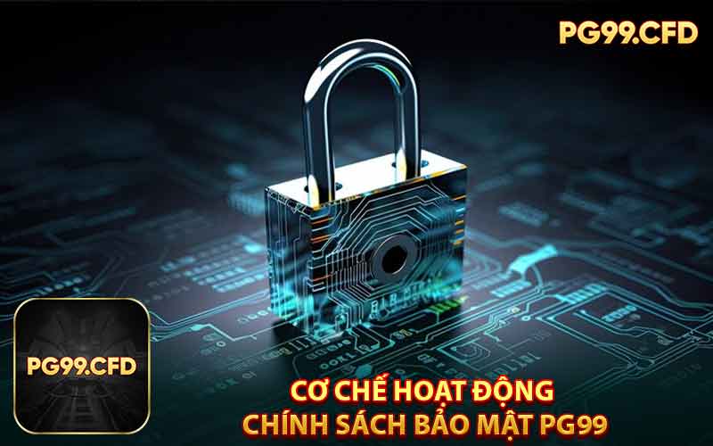 Cơ Chế Hoạt Động Của Chính Sách Bảo Mật PG99